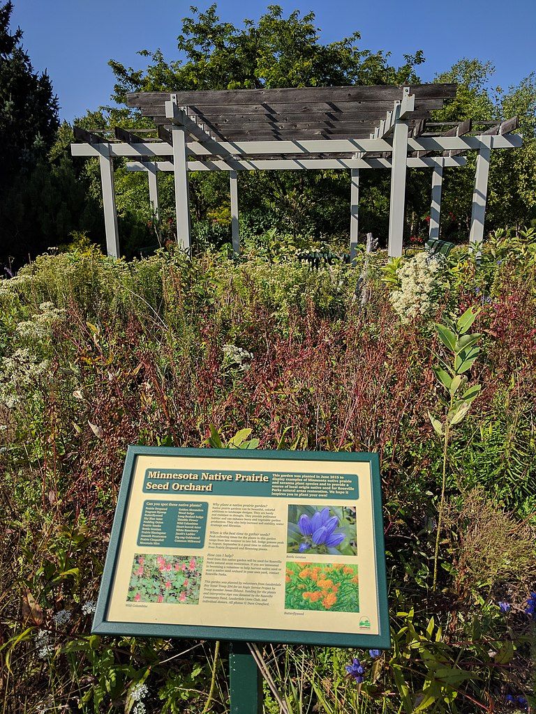 Plants at the Muriel Sahlin Arboretum