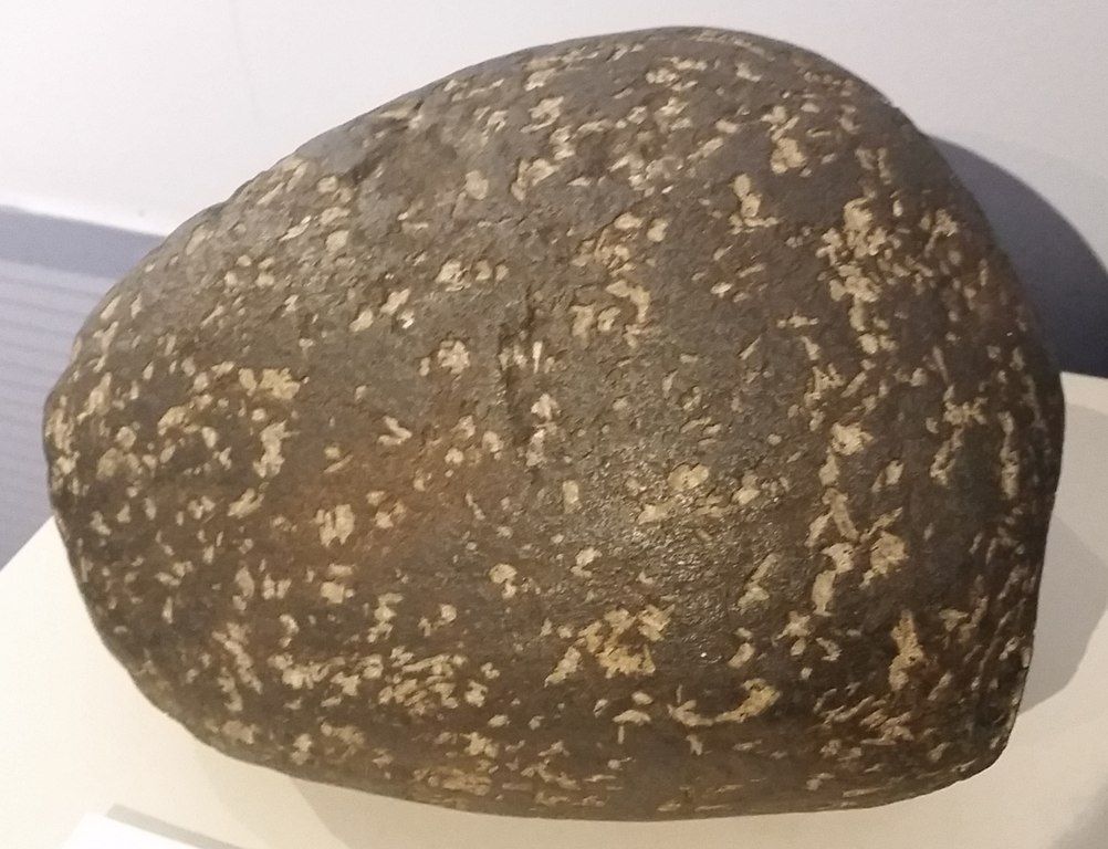 Specimen at Museum of Natural History and Planetarium