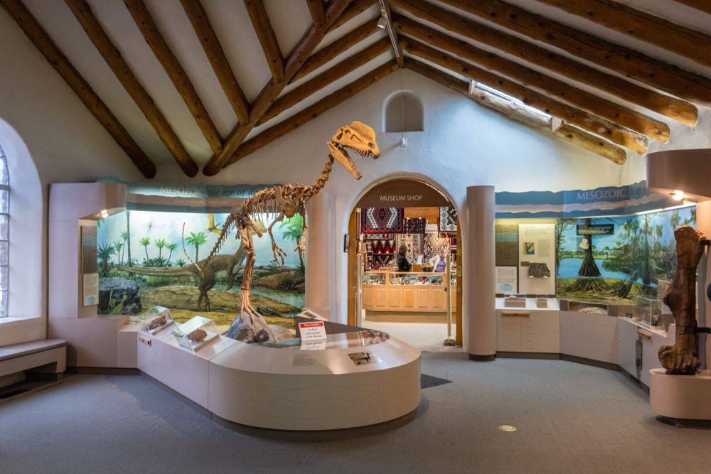 Inside the Museum of Northern Arizona