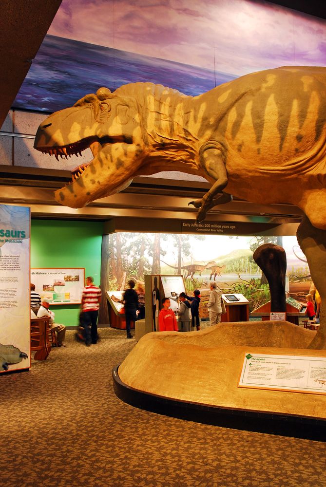 Huge T.Rex statue at Museum of Science