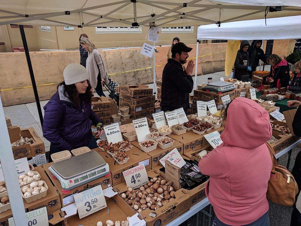 View of Campbell Farmer’s Market