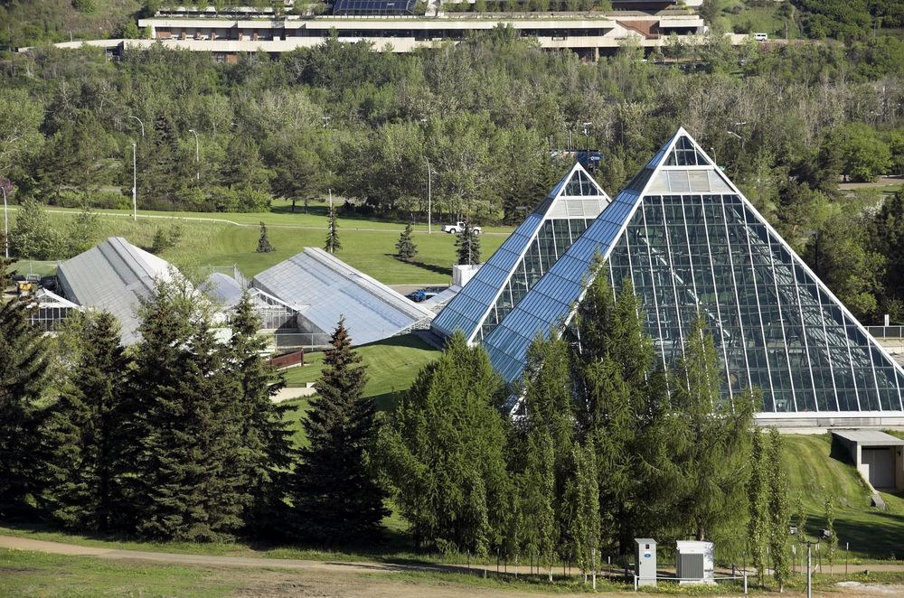 Muttart Conservatory