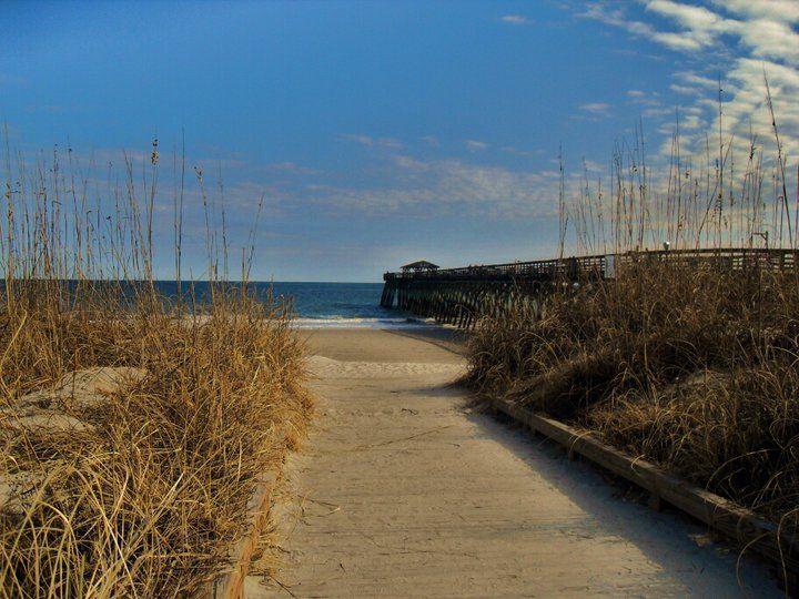 Sand trail leading to Myrtle Beach State Park