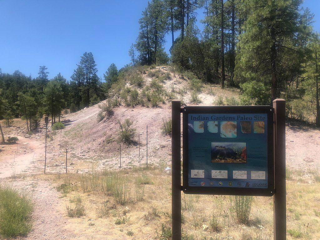 Signage at Naco Paleo Site