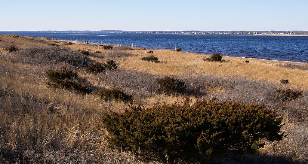 View of Napatree Point Conservation Area