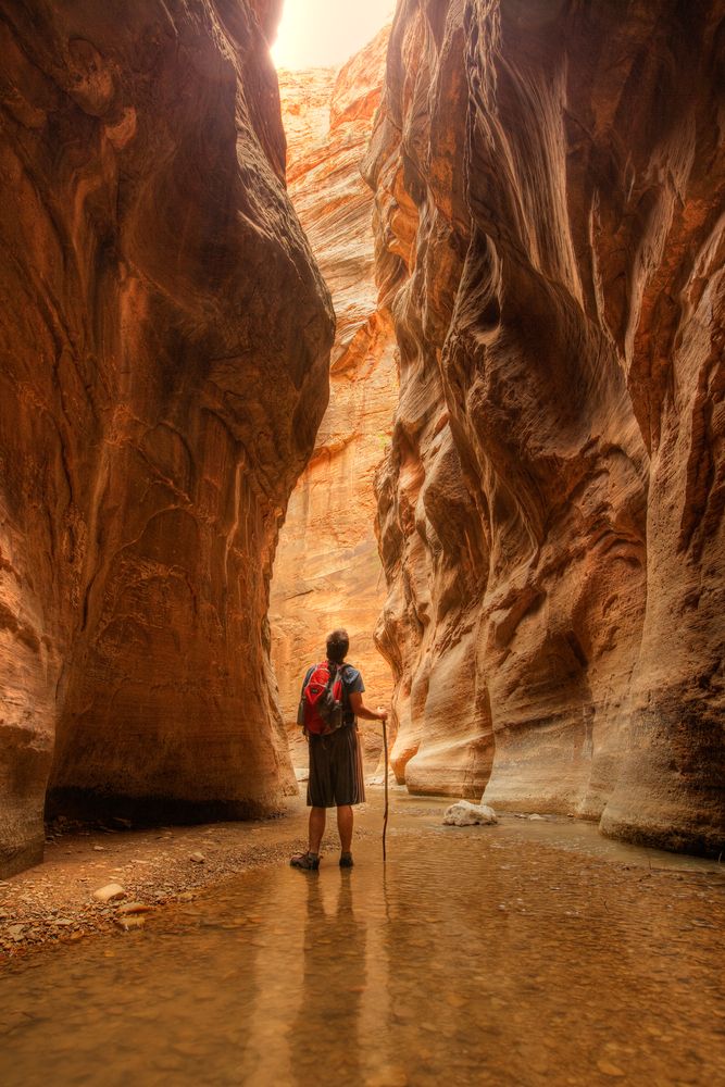 A hiker with a stick admiring the beauty of the narrows in Zion National Park