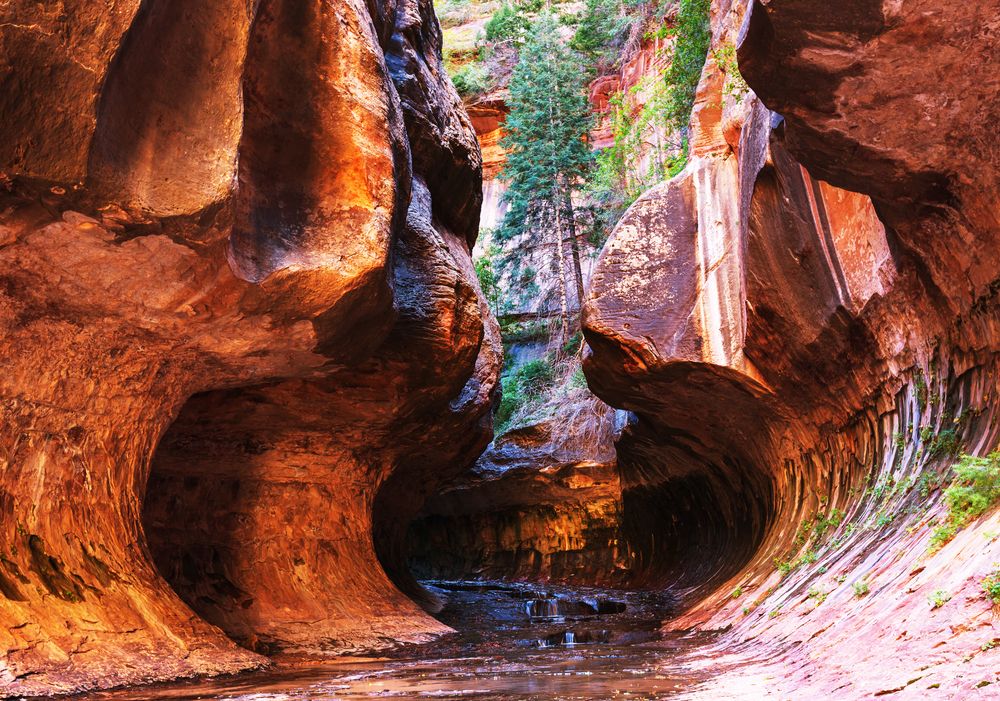 Narrows in Zion National Park