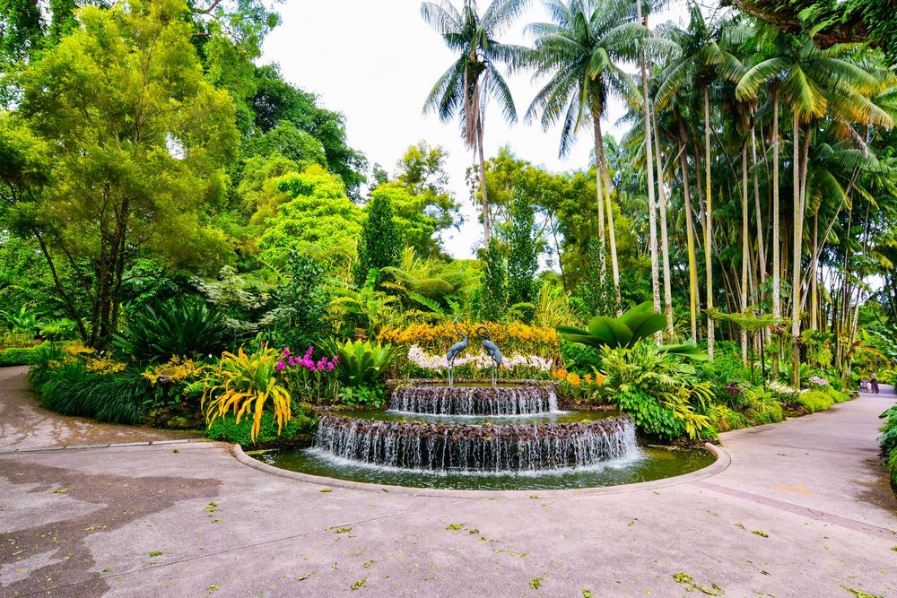National Orchid Garden