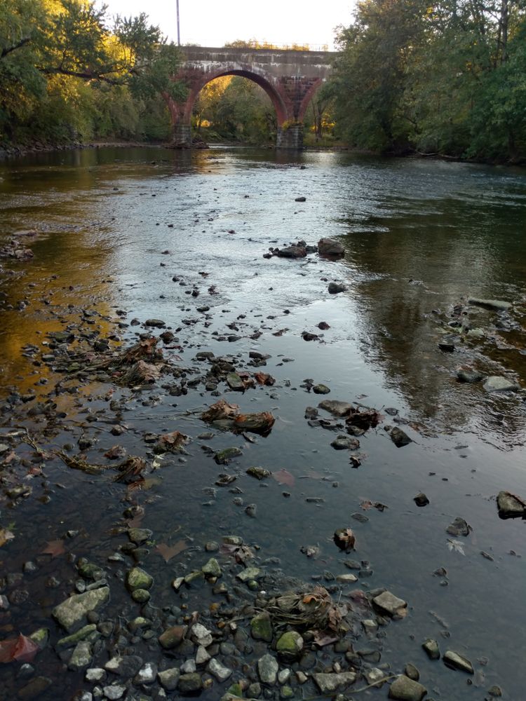Daytime view of the rocky Neshaminy Creek