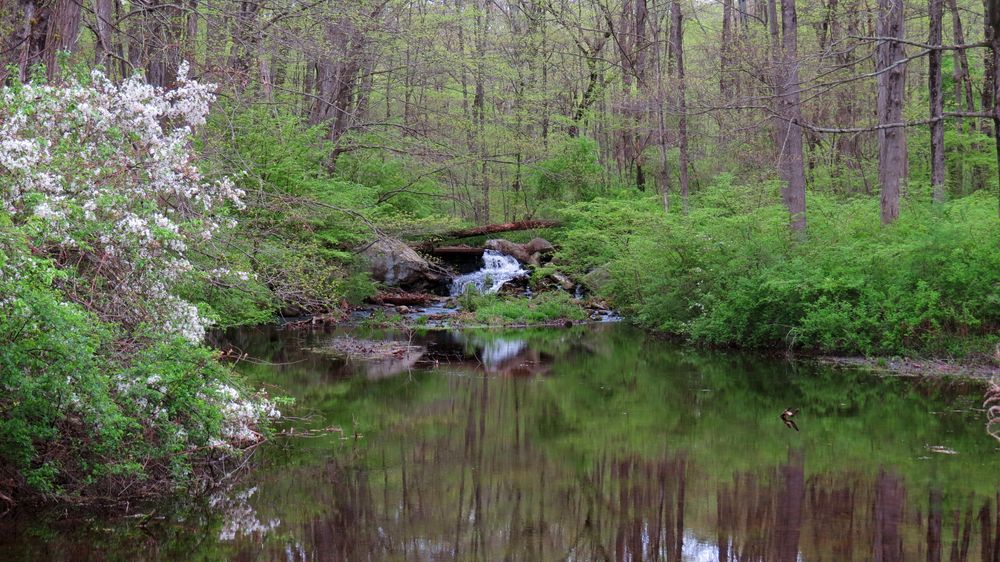 Picturesque view of the New Jersey State Botanical Garden