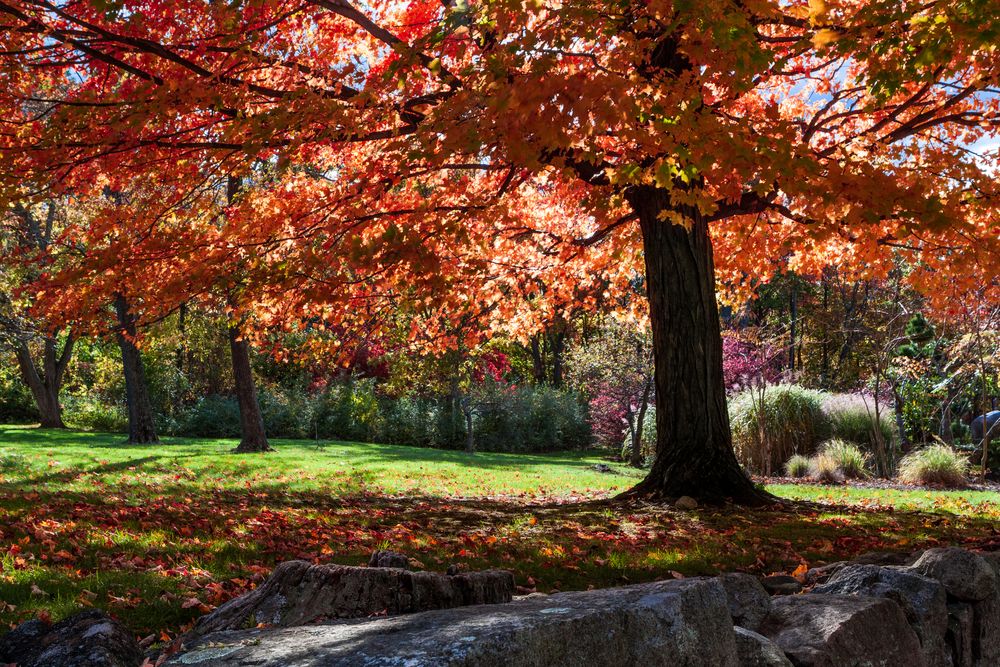 New Jersey State Botanical Garden during autumn