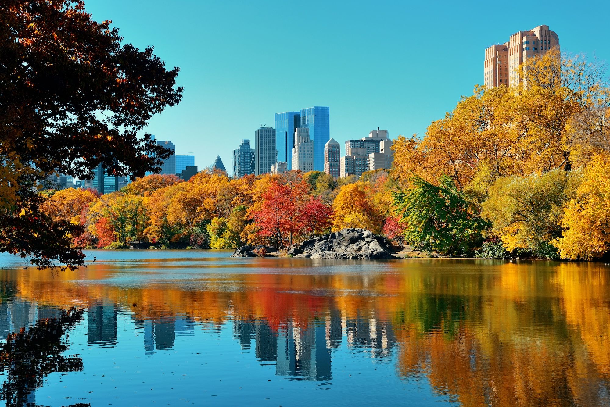 New York, New York