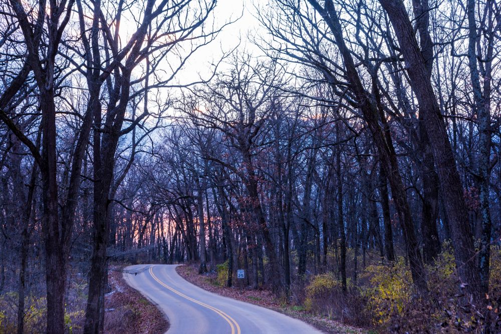 Road of New Glarus Woods State Park lined with trees