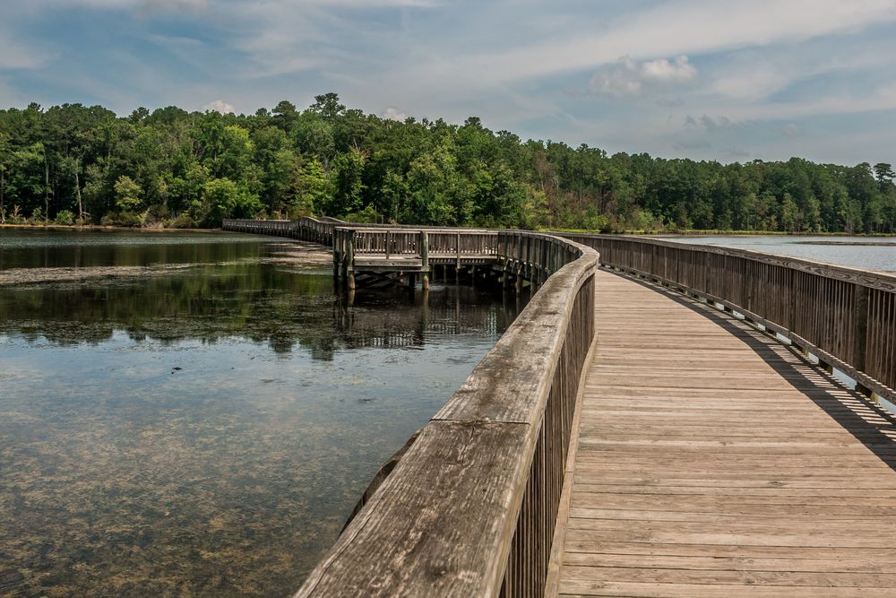 Boardwalk in Newport News Park
