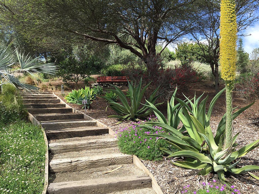 Stairway at Niguel Botanical Preserve