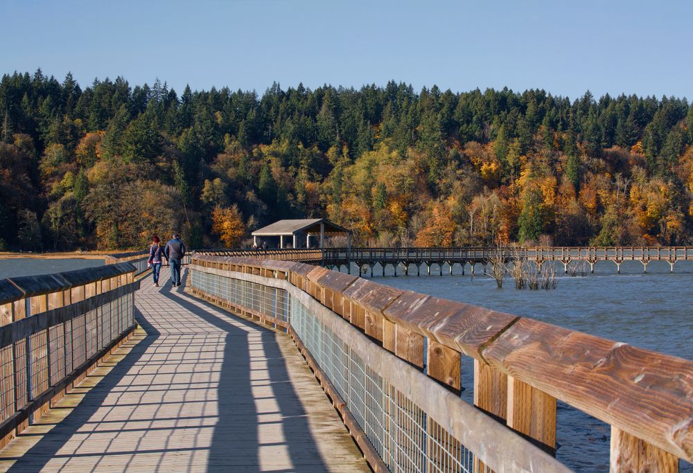 Nisqually National Wildlife Refuge