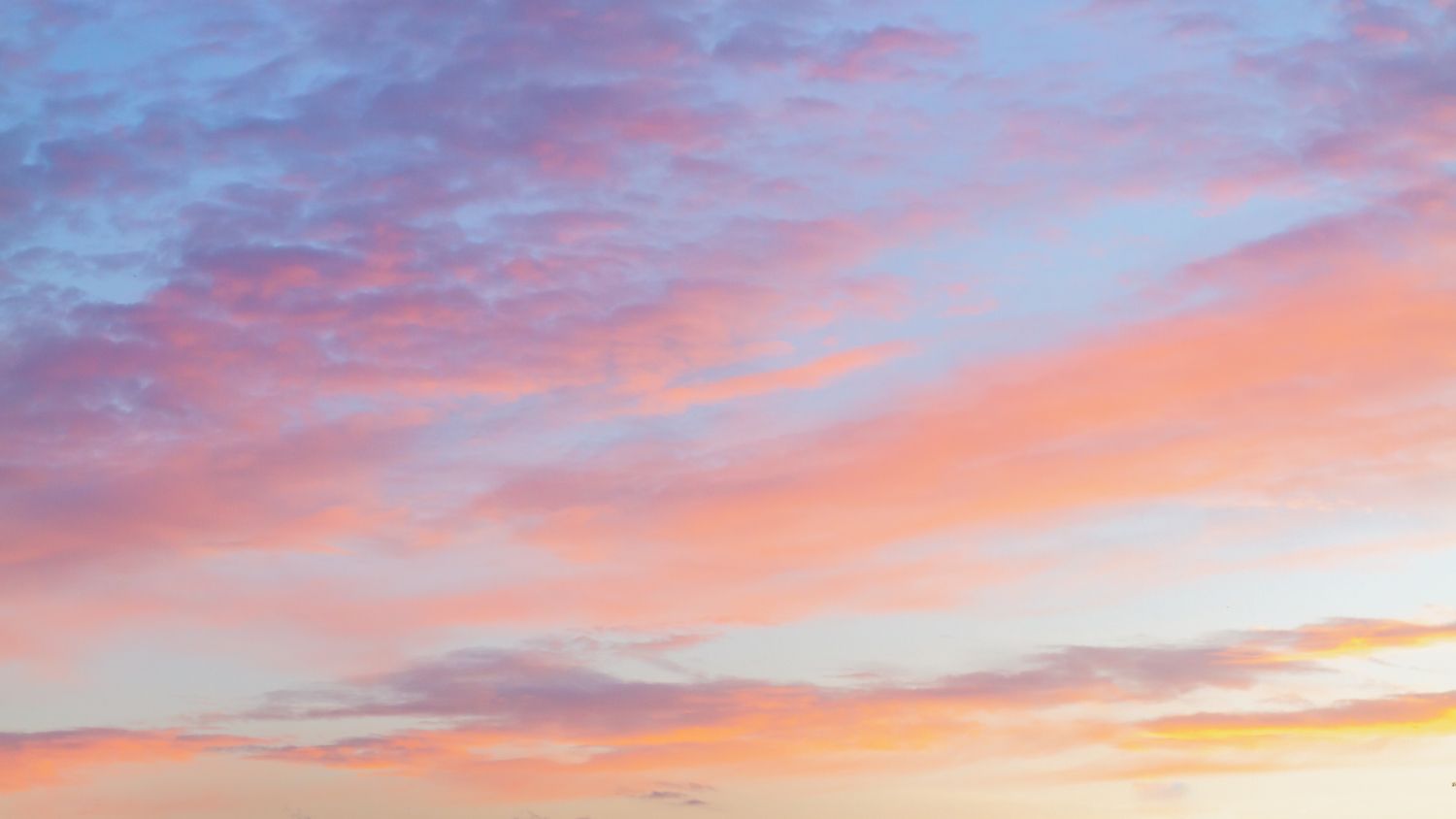 15 Best Things to Do in Nokesville, VA