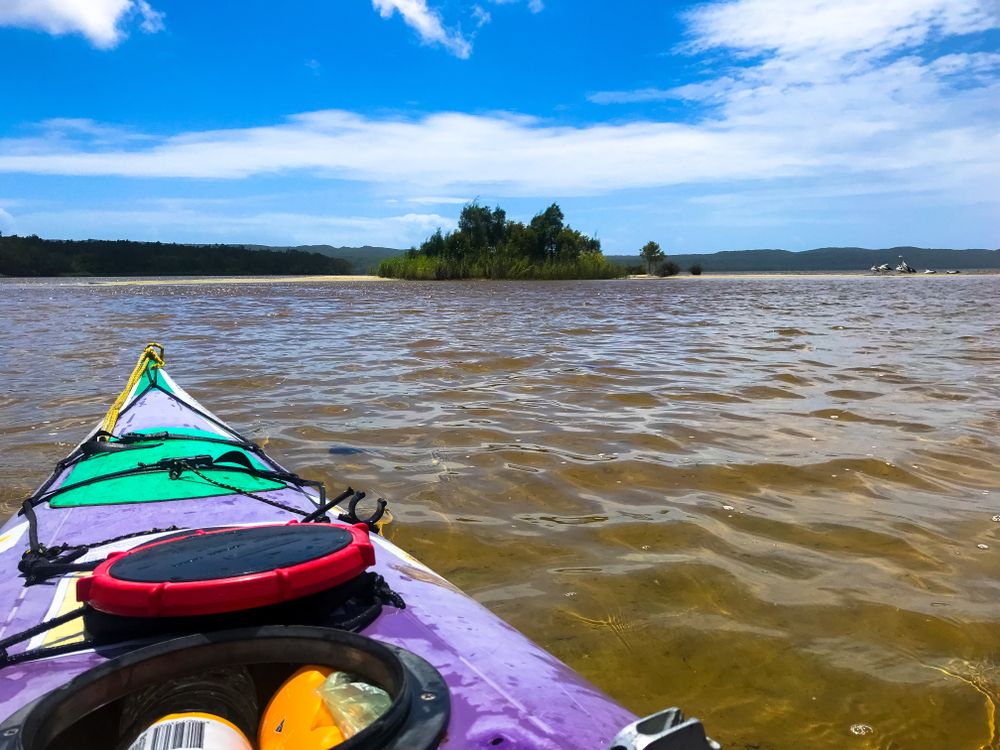 Noosa Everglades