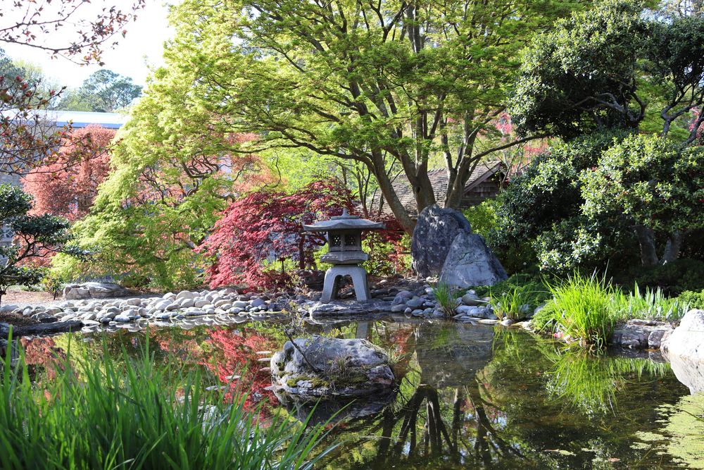 Japanese garden at Norfolk Botanical Gardens