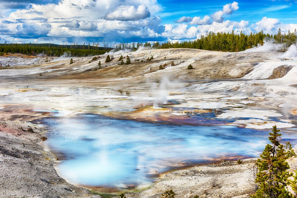 Norris Geyser Basin