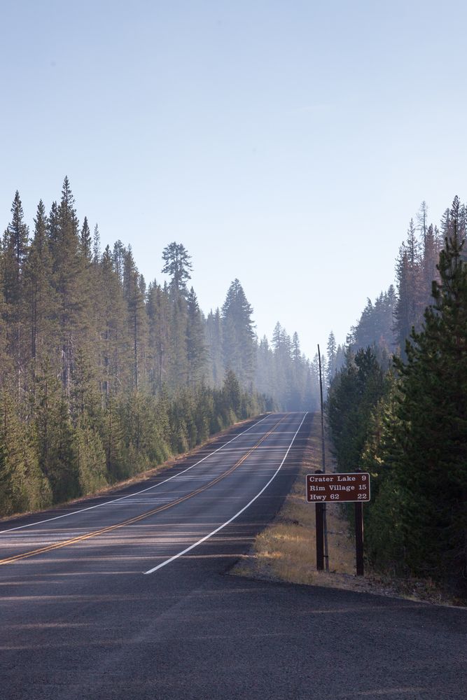 North Entrance Road on a foggy morning