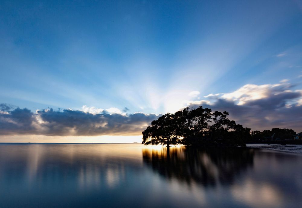 Dog Haven at the Nudgee Beach in Brisbane