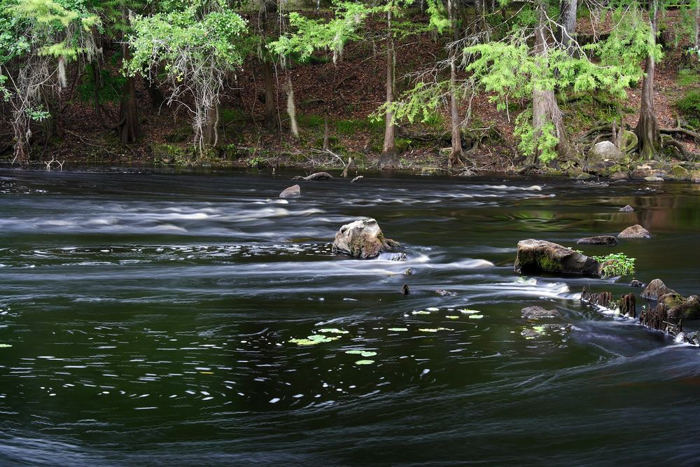 The waters of O’Leno State Park