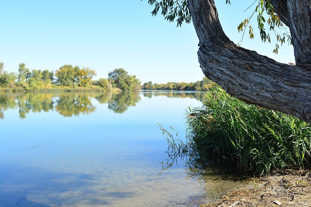 The calm waters of Snake River