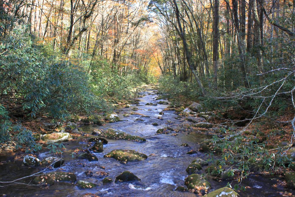 Waters of Ocanaluftee river trail