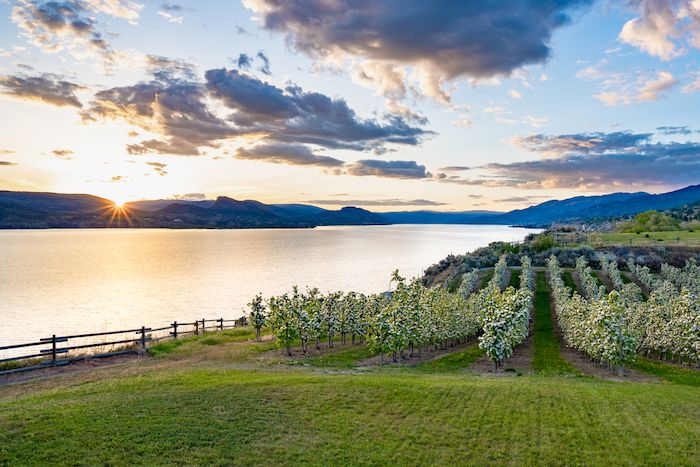 Okanagan Lake