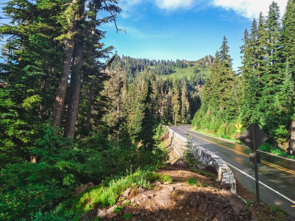 The road of Okanogan-Wenatchee National Forest
