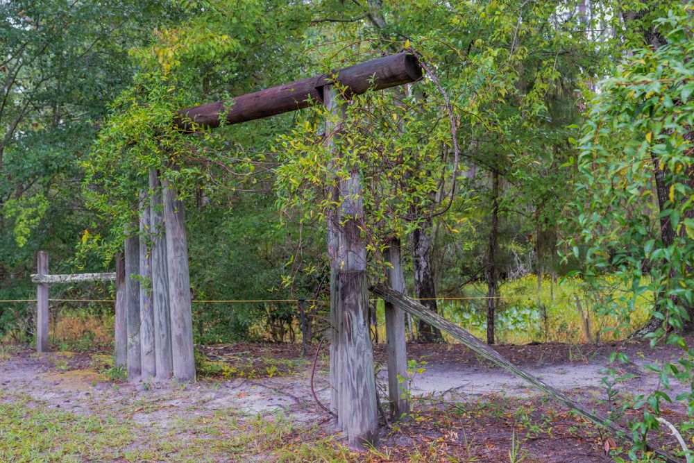 Trail at Okefenokee Swamp Park