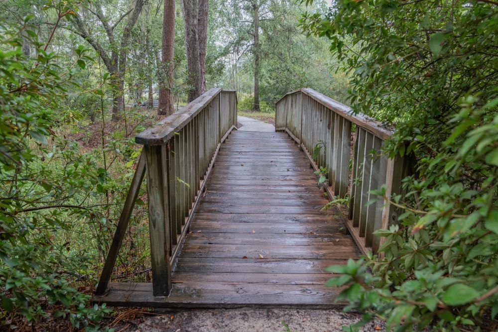 Wooden bridge at Okefenokee Swamp Park