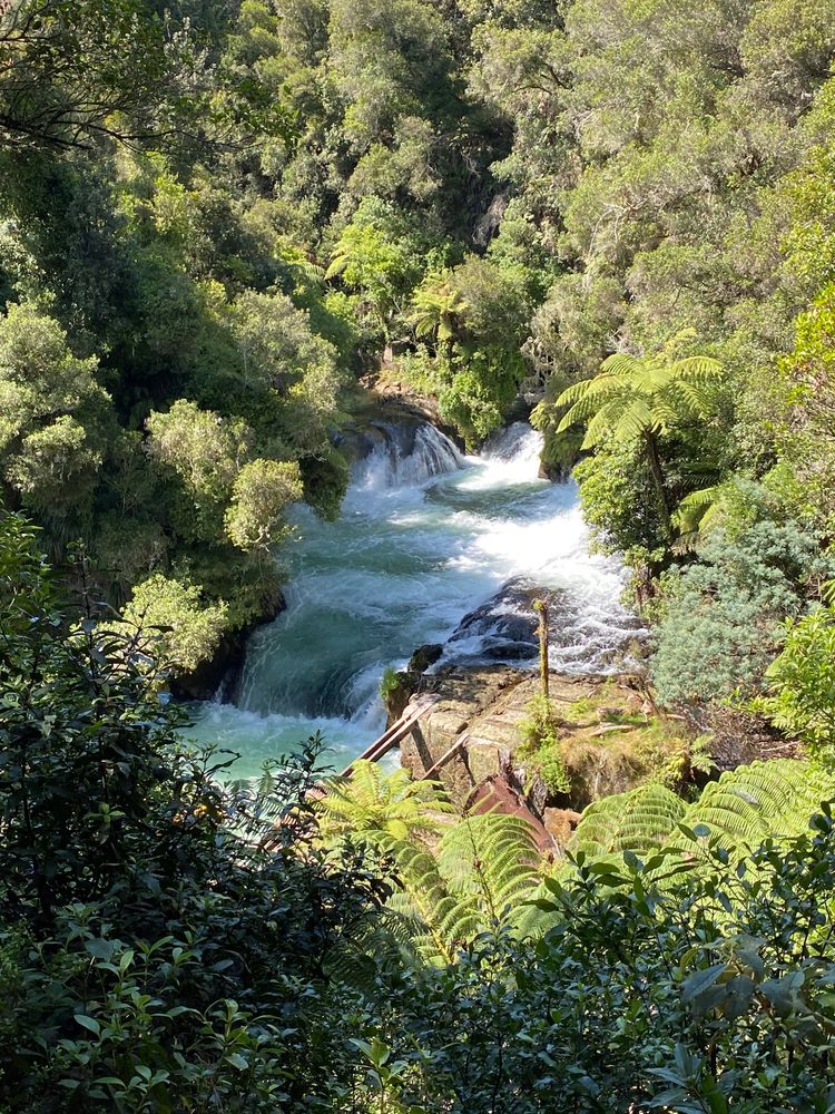 Okere Falls Track