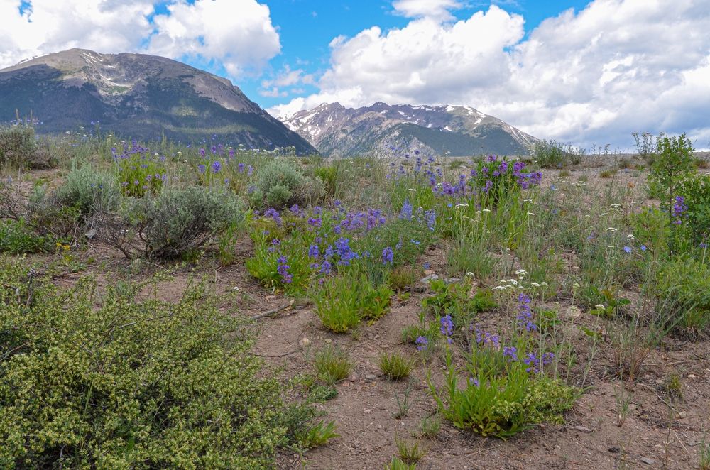 Landscape of Old Dillon Reservoir