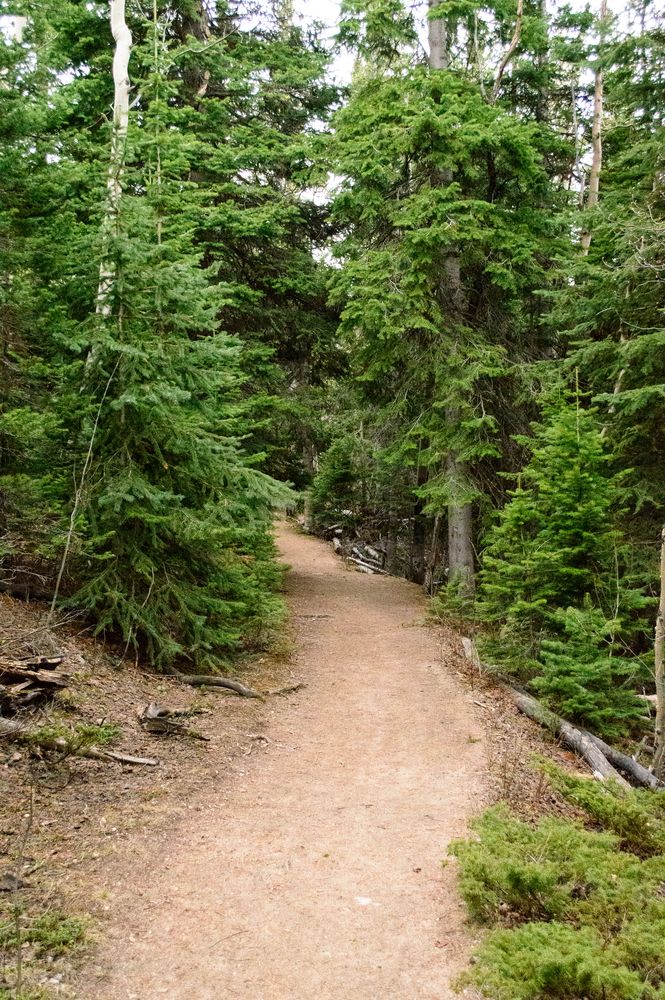 Hiking trail at Old Dillon Reservoir