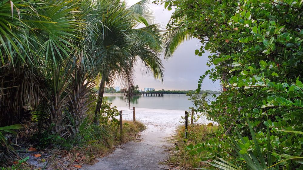 Paved narrow path leading to the beach at Oleta River State Park