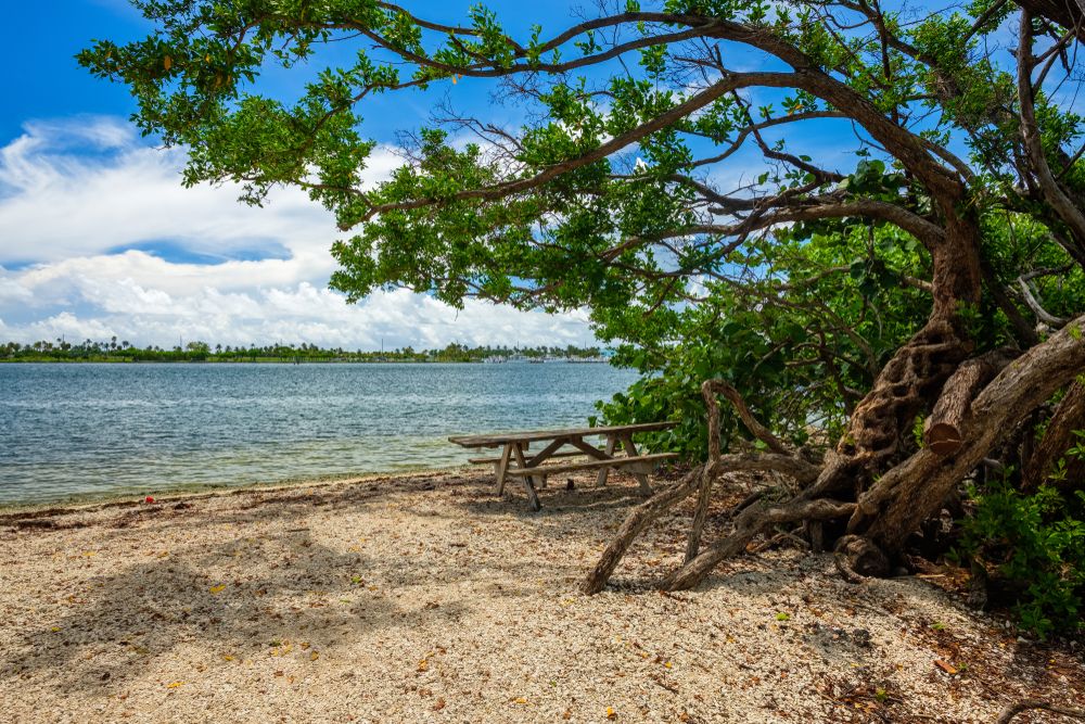 View of the beach at Oleta River State Park