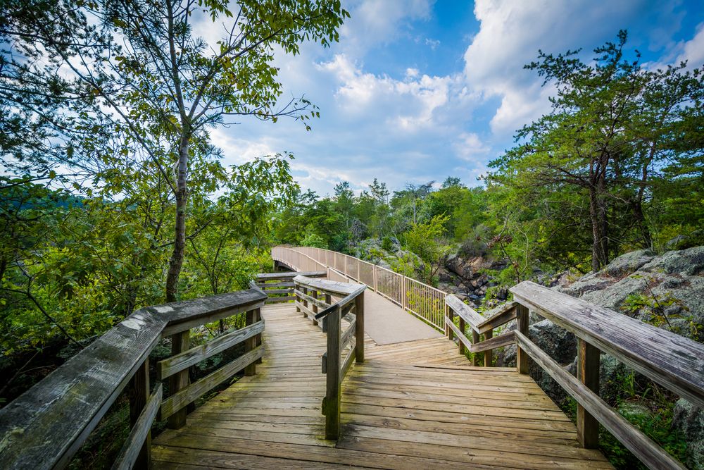 Boardwalk trail at Olmsted Island