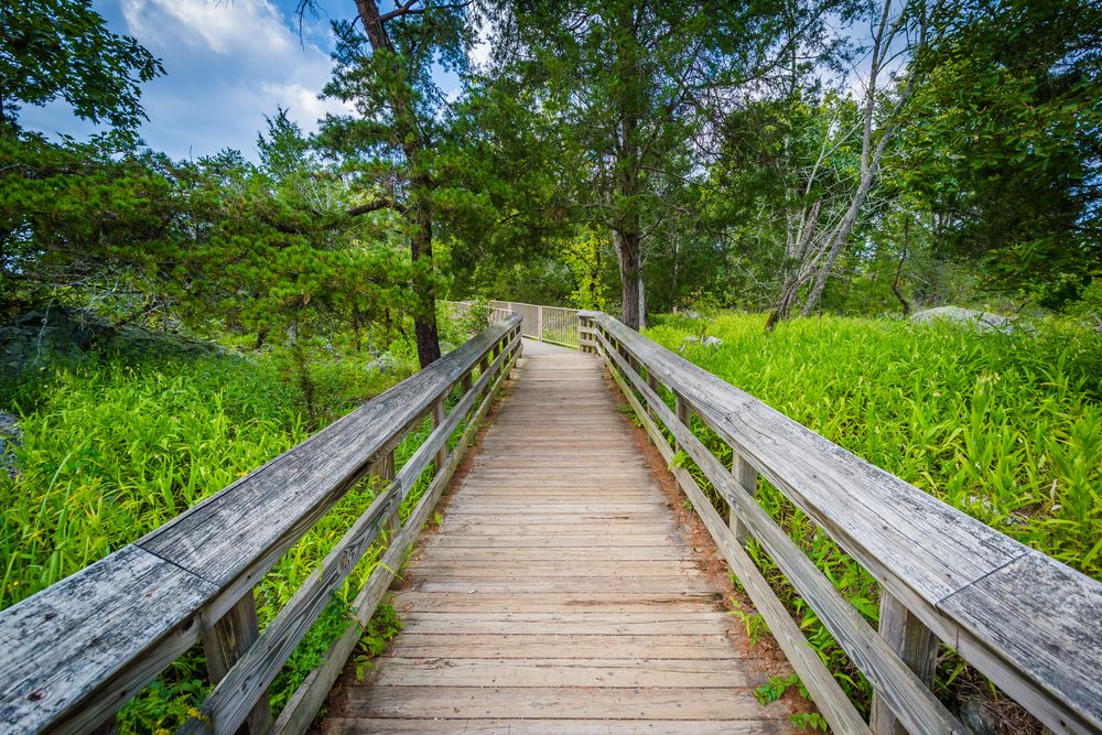 Trail at Olmsted Island
