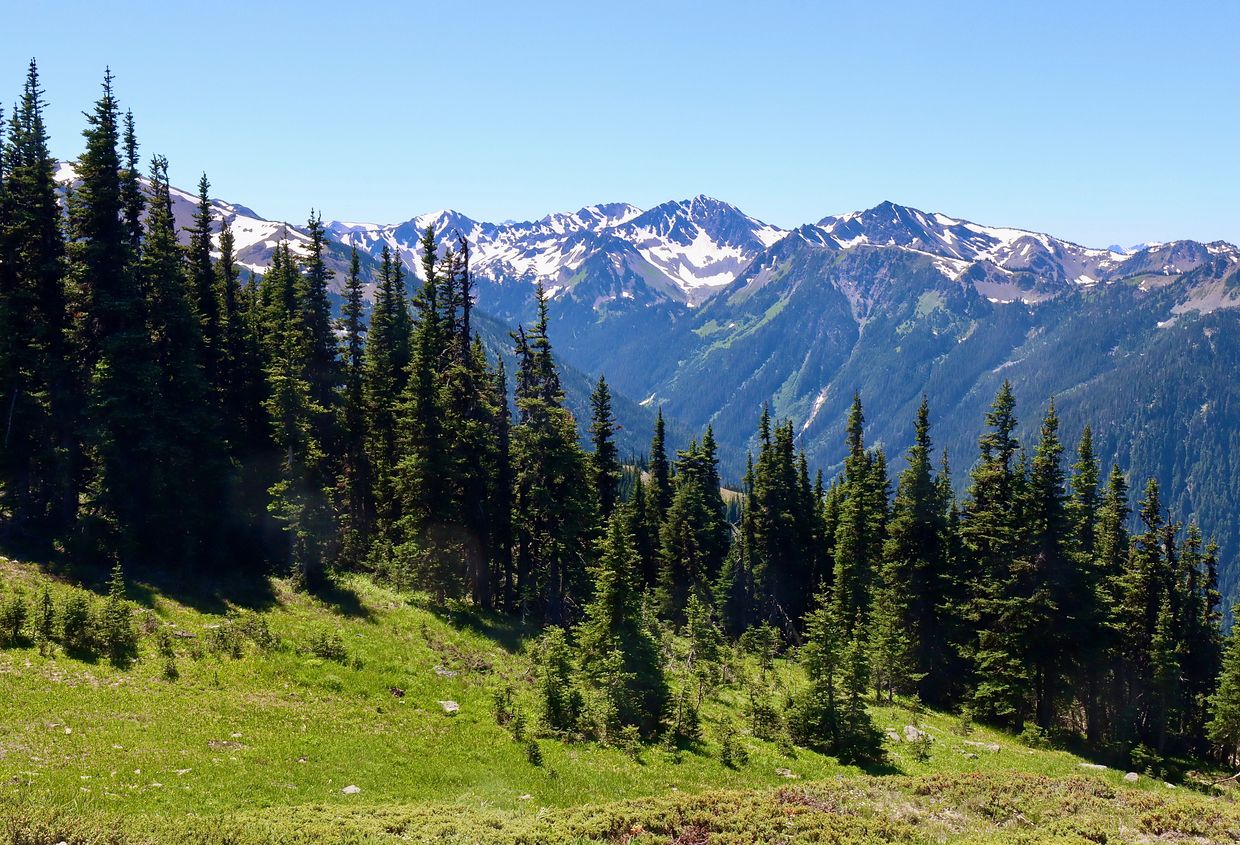 Mountains at Olympic National Park