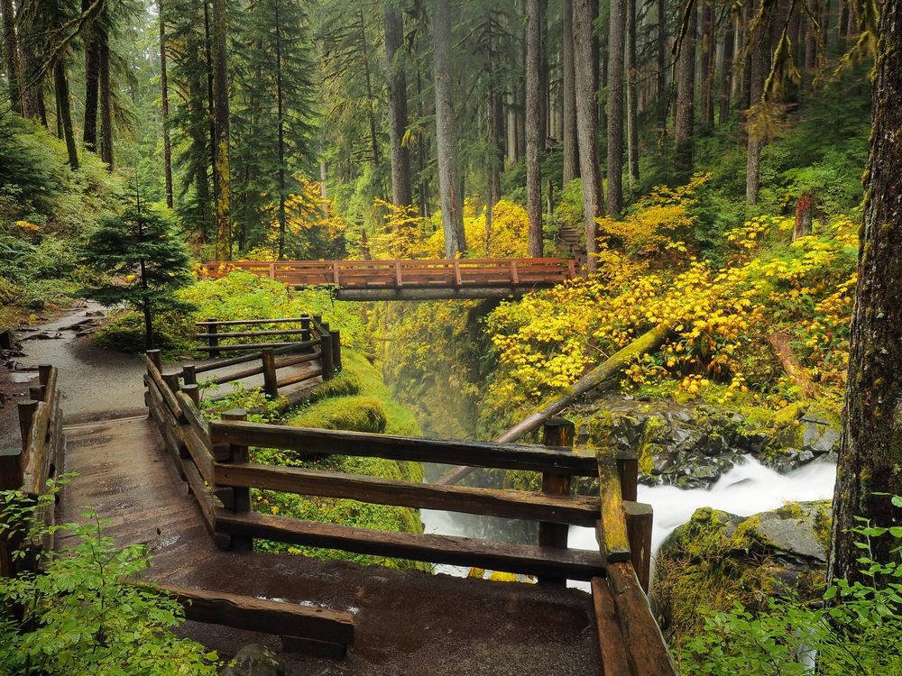Olympic National Park in Washington