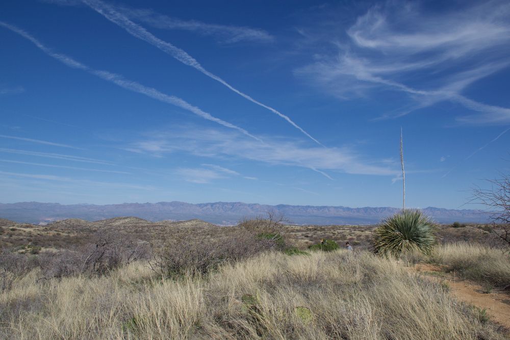Landscape of Oracle State Park