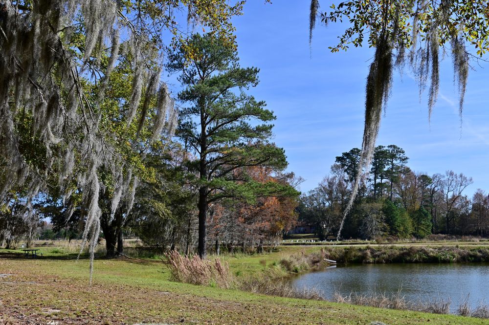 Stunning view of the Orangeburg National Fish Hatchery
