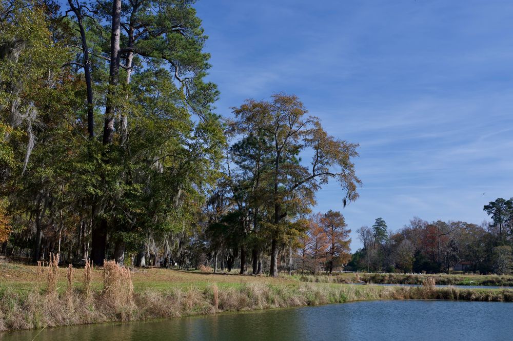 Scenic view of the Orangeburg National Fish Hatchery