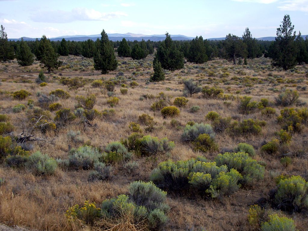 Oregon Badlands Wilderness Area