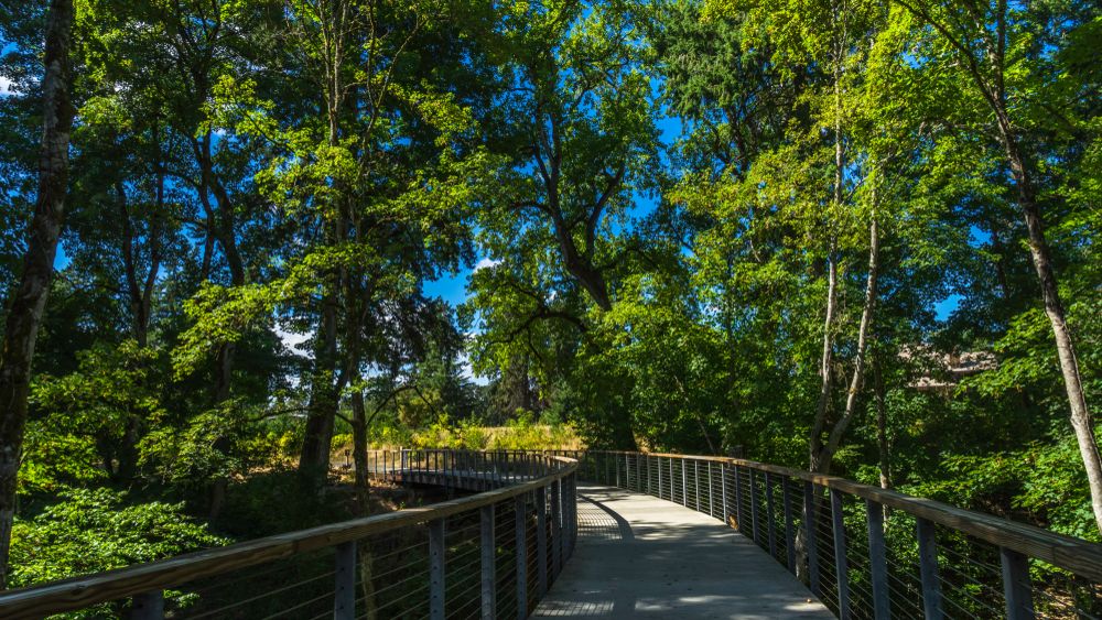 Scenic view of Orenco Woods Nature Park
