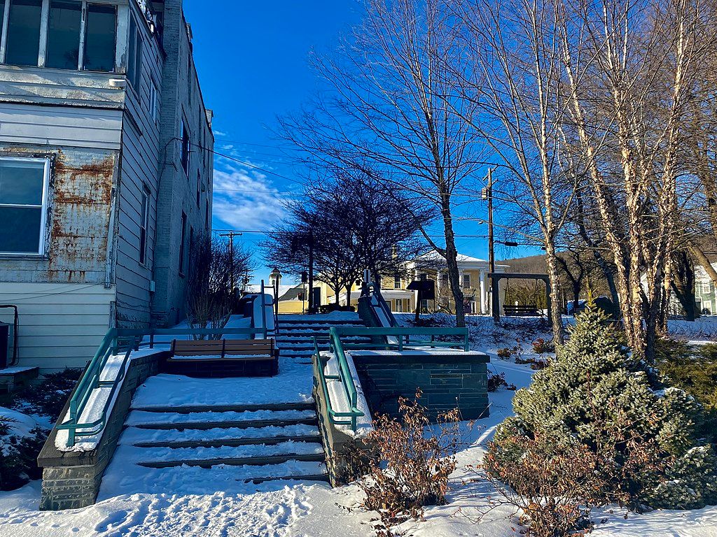 Bald trees during the winter at Owego Riverwalk