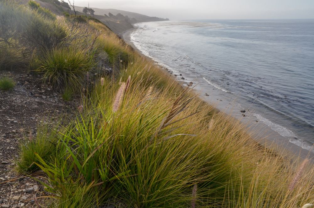 Scenic view of the Pacific Coast via Hondo vista point.