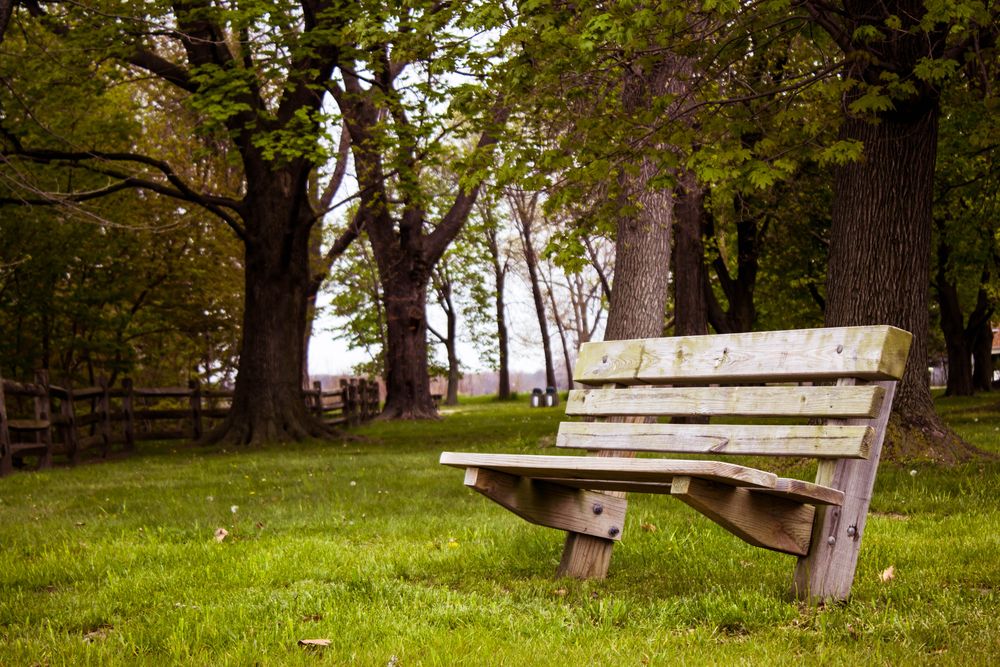 Wooden bench at Painesville Township Park